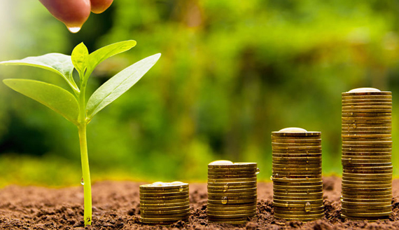 Nandivelugu Mutually Aided Co- Op Thrift & Credit Society Ltd